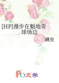 [HP] 漫步在魁地奇球场边